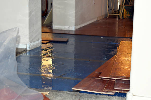 Professional Water Damage Restoration technician working in Trafford, PA